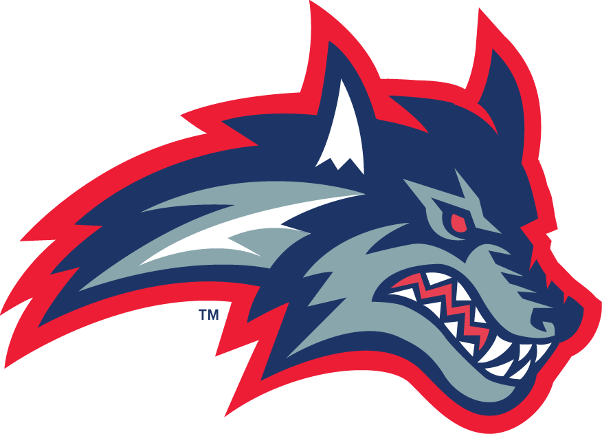 Stony Brook Seawolves 1998-2007 Secondary Logo DIY iron on transfer (heat transfer)